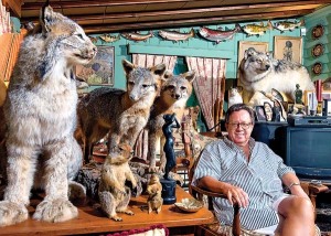 (8/2/14) - (Harrisonburg) Gregory Speck sits admist just a few of the 200 hundred pieces of taxidermy he has collected since the early 90s, which he displays in both his Harrisonburg Home and New York City apartment. Speck, neither a hunter nor taxidermist, has collected hundreds of species of mammals, fish, and birds from all over the world. (Jason Lenhart/Daily News-Record)